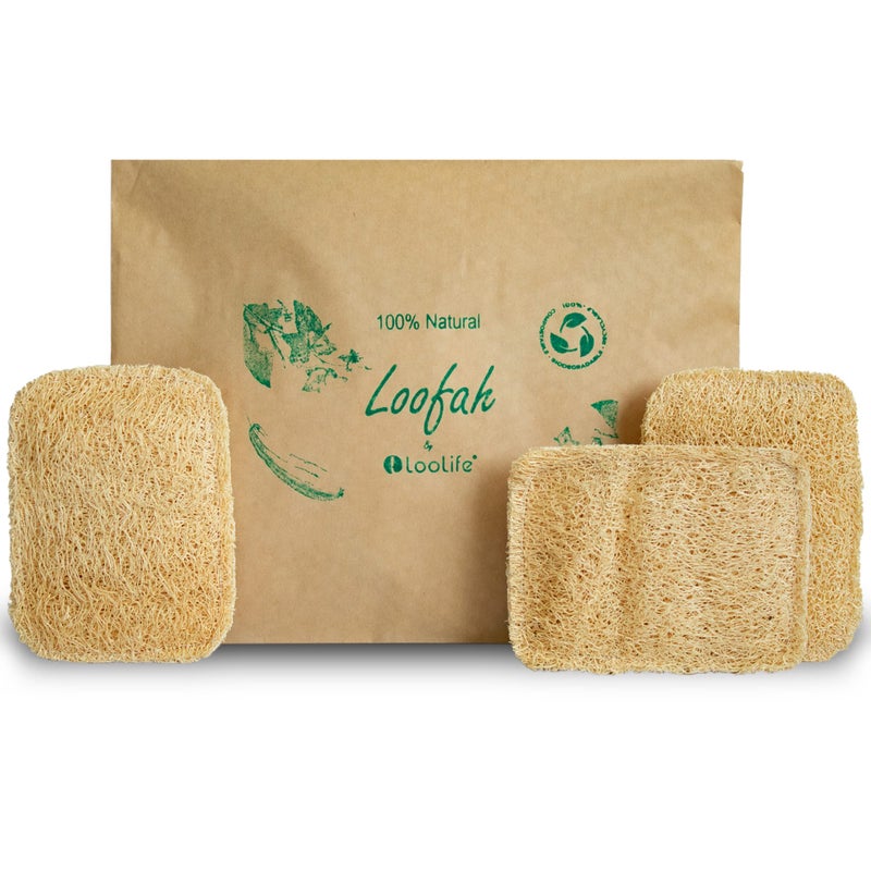 LooLife Natural Loofah Kitchen Sponge (3 Pack) - Natural Sponges for Dishes - Eco Friendly and Compostable Sponges - Biodegradable Plant Based Kitchen Dish Sponge - Plastic Free Dish Scrubber - Image 1